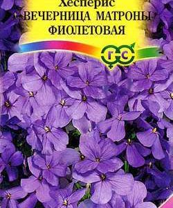 Хесперис Вечерница Матроны, фиолетовая* 0,1 г Н8 сер. Сад ароматов