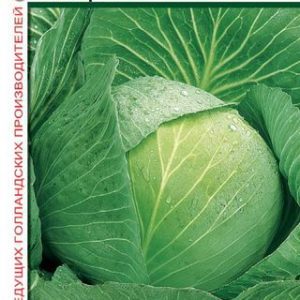 Капуста белокоч. Атрия F1 10 шт для квашения