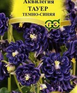 Аквилегия Тауер темно синяя* 10 шт сер. Элитная клумба