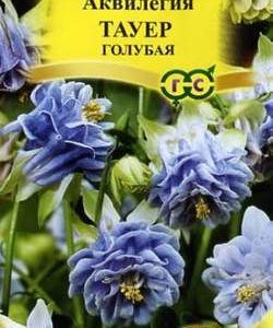 Аквилегия Тауер голубая* 10 шт сер. Элитная клумба