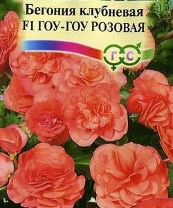 Бегония Гоу-гоу розовая F1 гранул. 4 шт.пробирка