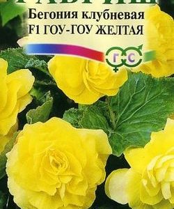 Бегония Гоу-гоу желтая F1 гранул. 4 шт.пробирка