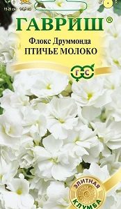 Флокс Птичье молоко друммонди* 8 шт. сер. Элитная клумба
