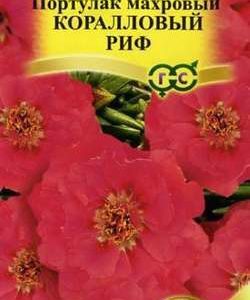 Портулак Коралловый риф* 0,01 г сер. Элитная клумба