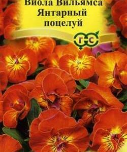 Виола Янтарный поцелуй F1, Вильямса (Анютины глазки)* 5 шт. сер. Элитная клумба