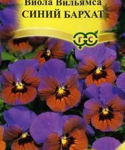 Виола Синий бархат F1, Вильямса (Анютины глазки)* 5 шт. сер. Элитная клумба