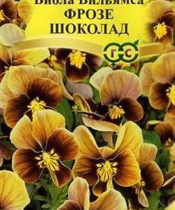 Виола Фрозе шоколад F1, Вильямса (Анютины глазки)* 5 шт. сер. Элитная клумба