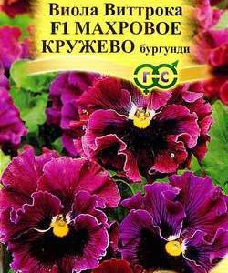 Виола Махровое кружево бургунди F1 Виттрока (Анютины глазки)* 5 шт сер. Элитная клумба