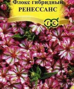 Флокс Ренессанс гибридный* 8 шт. сер. Элитная клумба