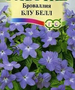 Броваллия Блу Белл* 3 шт. серия Элитная клумба