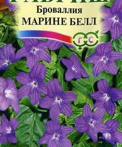 Броваллия Марине Белл* 3 шт. серия Элитная клумба