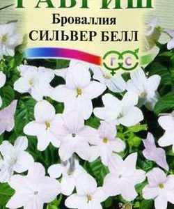 Броваллия Сильвер Белл* 3 шт. серия Элитная клумба