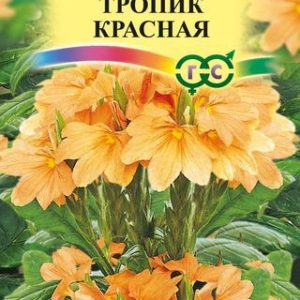Кроссандра Тропик красная * 3 шт. серия Элитная клумба