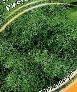 Укроп Ржеуцкий 2,0 г автор. Н9