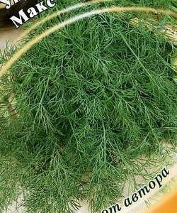 Укроп Макс 2,0 г автор.