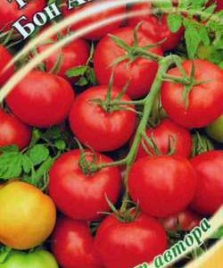 Томат Бон Аппети 0,1 г автор.