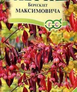 Бересклет Максимовича 0,2 г Н8