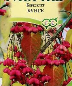 Бересклет Бунге 0,2 г
