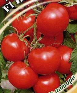 Томат Изобильный F1 0,3 г автор.