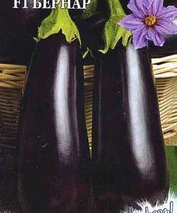 Баклажан Бернар F1 0,1 г серия Заморозь! Н9