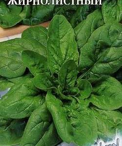 Шпинат Жирнолистный 1,0 г серия Заморозь! Н9