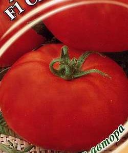 Томат Сибиряк F1 0,1г автор.