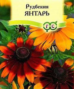 Рудбекия Янтарь* 0,05 г