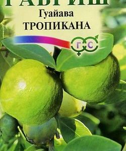 Гуайава Тропикана 0,2 г