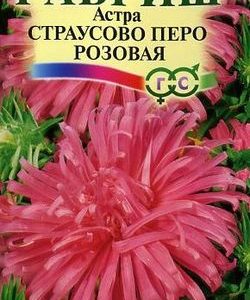 Астра Страусово перо розовая 0,3 г Н9