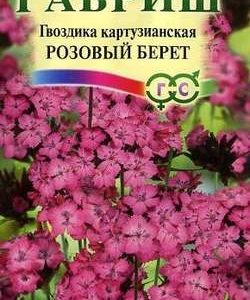 Гвоздика картузианская Розовый берет*, 0,05 г Н9