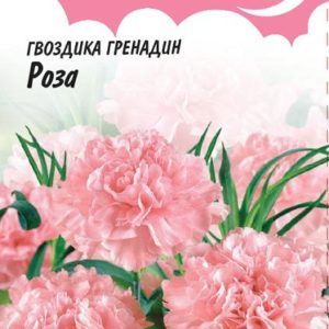Гвоздика садовая гренадин Роза*, 0,1 г Н9 , серия Розовые сны