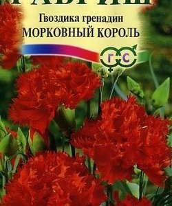 Гвоздика садовая гренадин Морковный король*, 0,1 г Н9