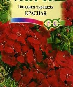 Гвоздика турецкая Красная 0,2 г Н9
