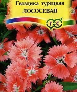 Гвоздика турецкая Лососевая 0,2 г Н9