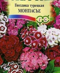 Гвоздика турецкая Монпансье, смесь 0,2 г Н9