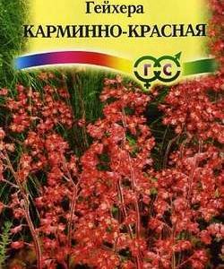 Гейхера Карминно-красная* 0,01 г Н9