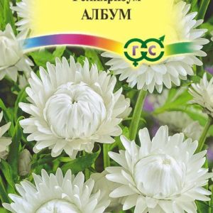 Гелихризум Албум* 0,2 г