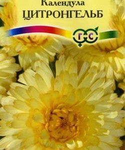 Календула Цитронгельб 0,3 г Н9