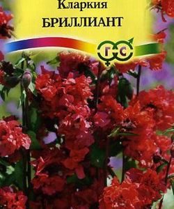 Кларкия Бриллиант , изящная * 0,1 г Н9