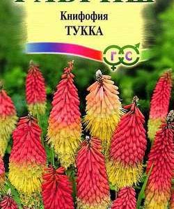 Книфофия Тукка* 0,1 г Н9