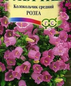 Колокольчик Розеа, средний* 0,1 г Н9