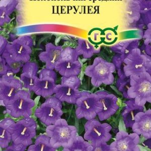 Колокольчик Церулея, средний* 0,1 г Н9