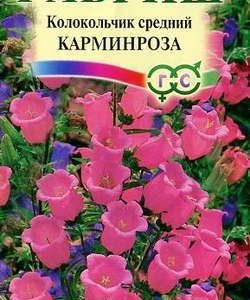Колокольчик Карминроза , средний* 0,1 г Н9