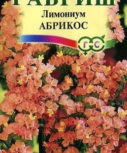 Лимониум Абрикос* 0,01 г Н9