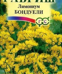 Лимониум Бондуели* 0,05 г Н9