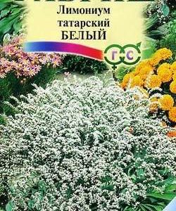 Лимониум Белый татарский* 0,05 г Н9 сер. Альпийская горка