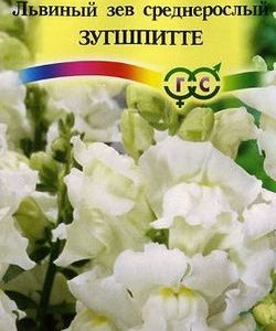 Львиный зев Зугшпитте* 0,1 г Н9