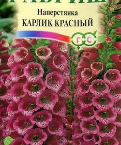 Наперстянка Карлик красный* 0,05 Н9