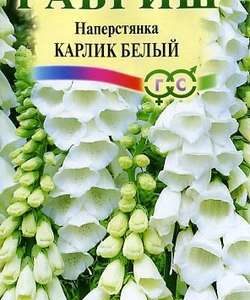 Наперстянка Карлик белый* 0,05 Н9