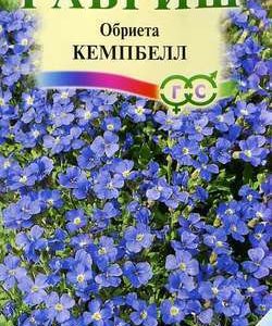 Обриета Кемпбелл* крупноцв. 0,05 г Н9 сер. Альпийская горка